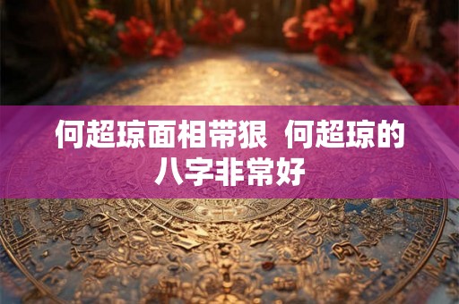 何超琼面相带狠  何超琼的八字非常好