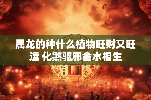 属龙的种什么植物旺财又旺运 化煞驱邪金水相生