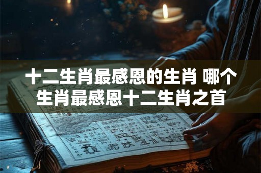 十二生肖最感恩的生肖 哪个生肖最感恩十二生肖之首