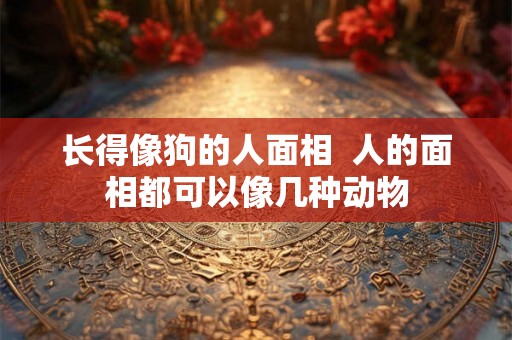 长得像狗的人面相  人的面相都可以像几种动物