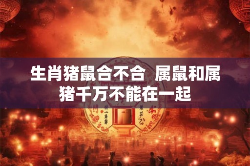 生肖猪鼠合不合  属鼠和属猪千万不能在一起