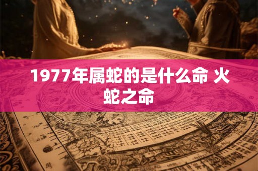1977年属蛇的是什么命 火蛇之命 1977年属蛇的是什么命 火蛇之命