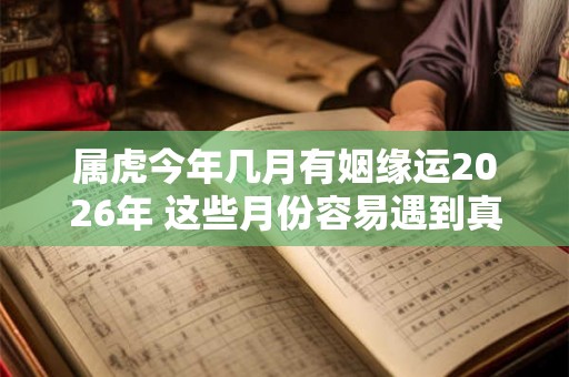 属虎今年几月有姻缘运2026年 这些月份容易遇到真命天子