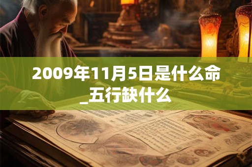 2009年11月5日是什么命_五行缺什么