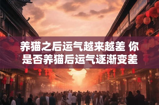 养猫之后运气越来越差 你是否养猫后运气逐渐变差 养猫之后运气越来越差 你是否养猫后运气逐渐变差
