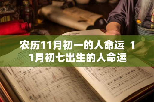 农历11月初一的人命运  11月初七出生的人命运