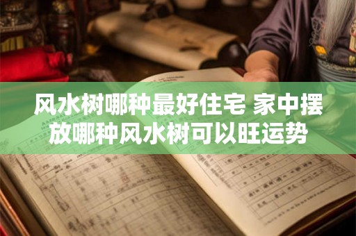 风水树哪种最好住宅 家中摆放哪种风水树可以旺运势