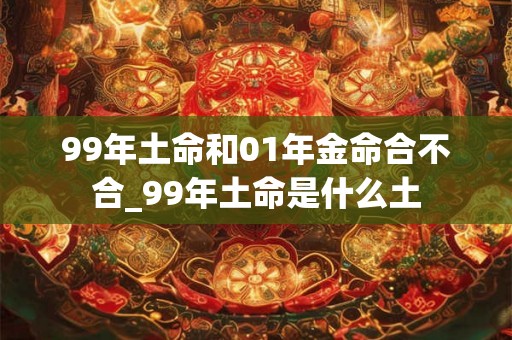 99年土命和01年金命合不合_99年土命是什么土