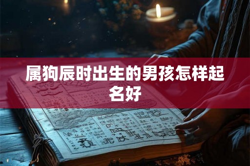 属狗辰时出生的男孩怎样起名好