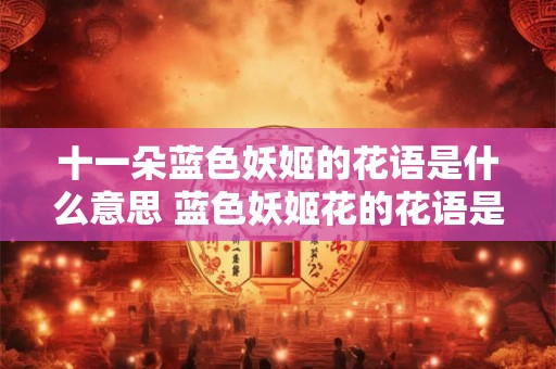 十一朵蓝色妖姬的花语是什么意思 蓝色妖姬花的花语是什么