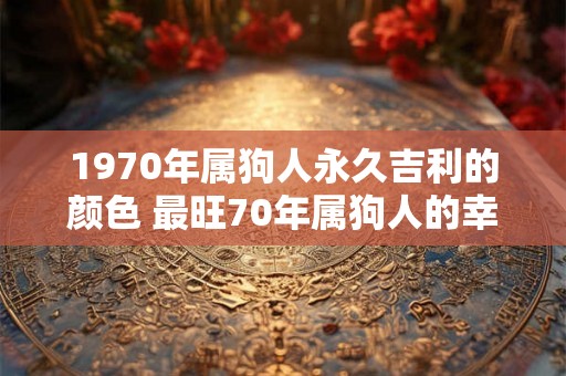 1970年属狗人永久吉利的颜色 最旺70年属狗人的幸运色