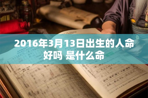 2016年3月13日出生的人命好吗 是什么命