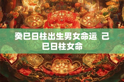 癸巳日柱出生男女命运  己巳日柱女命