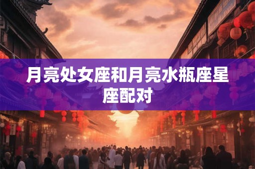 月亮处女座和月亮水瓶座星座配对