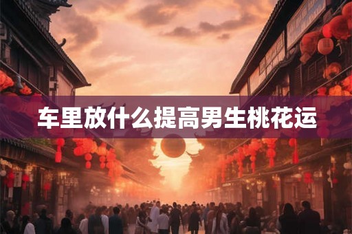 车里放什么提高男生桃花运