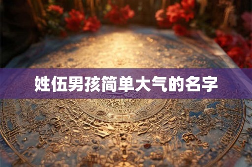 姓伍男孩简单大气的名字