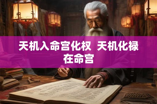 天机入命宫化权  天机化禄在命宫