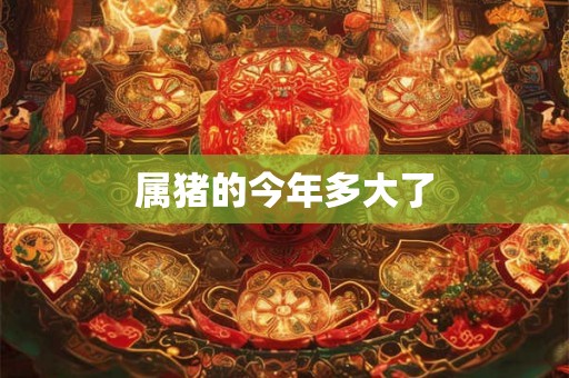 属猪的今年多大了