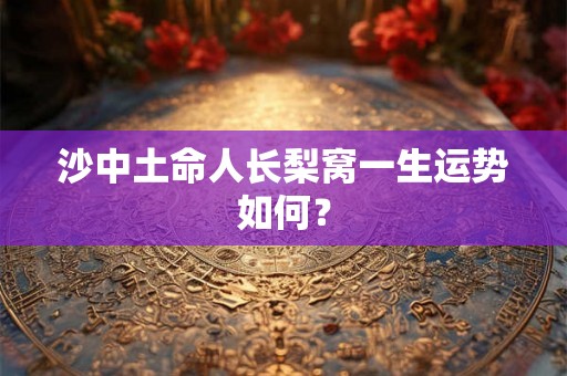 沙中土命人长梨窝一生运势如何？