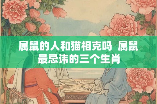 属鼠的人和猫相克吗  属鼠最忌讳的三个生肖