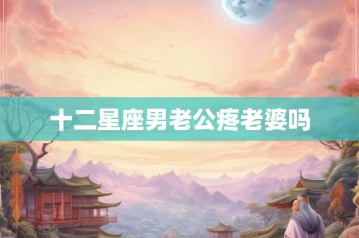 十二星座男老公疼老婆吗