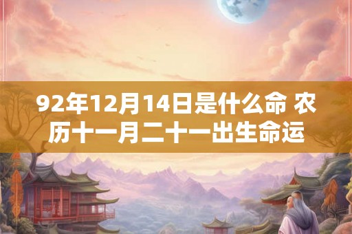 92年12月14日是什么命 农历十一月二十一出生命运