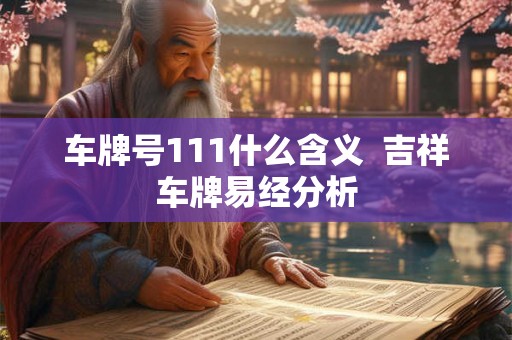 车牌号111什么含义  吉祥车牌易经分析