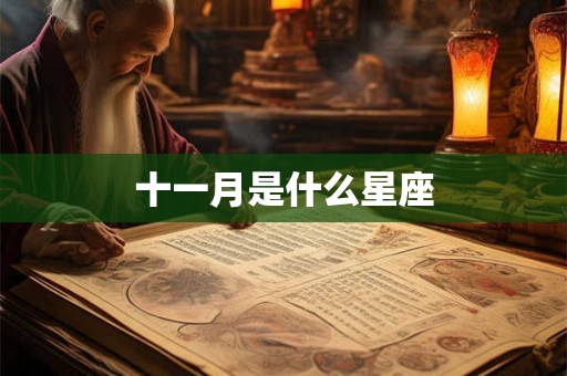十一月是什么星座