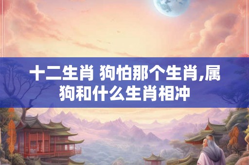 十二生肖 狗怕那个生肖,属狗和什么生肖相冲