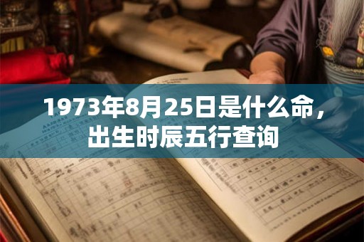 1973年8月25日是什么命，出生时辰五行查询