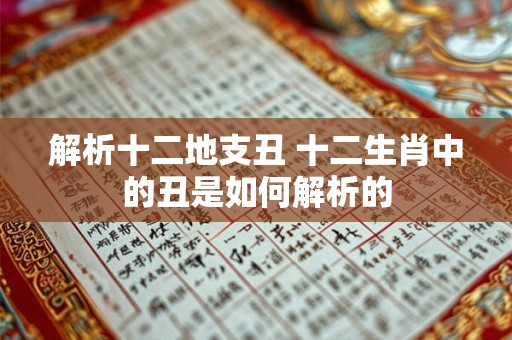 解析十二地支丑 十二生肖中的丑是如何解析的