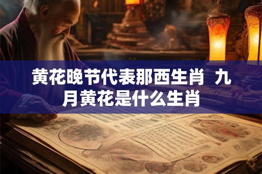 黄花晚节代表那西生肖  九月黄花是什么生肖