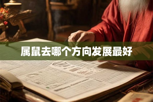 属鼠去哪个方向发展最好