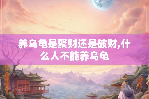养乌龟是聚财还是破财,什么人不能养乌龟