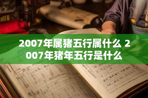 2007年属猪五行属什么 2007年猪年五行是什么