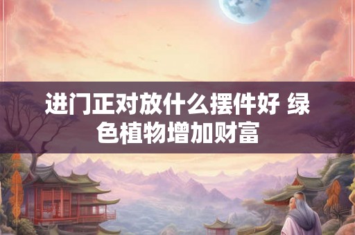 进门正对放什么摆件好 绿色植物增加财富