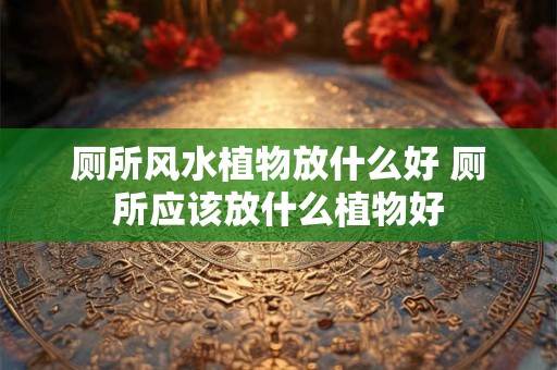 厕所风水植物放什么好 厕所应该放什么植物好