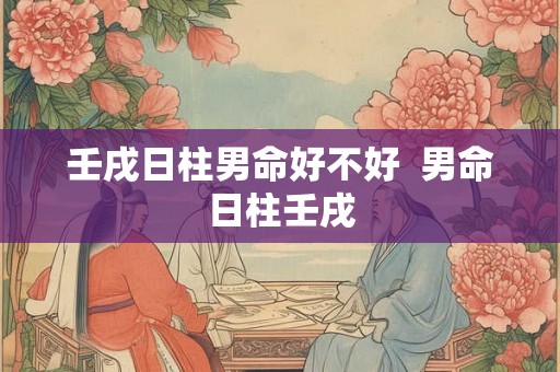 壬戌日柱男命好不好  男命日柱壬戌