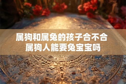属狗和属兔的孩子合不合 属狗人能要兔宝宝吗