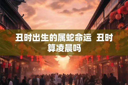 丑时出生的属蛇命运  丑时算凌晨吗