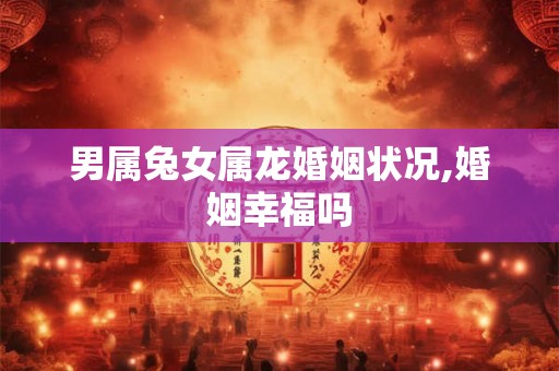 男属兔女属龙婚姻状况,婚姻幸福吗