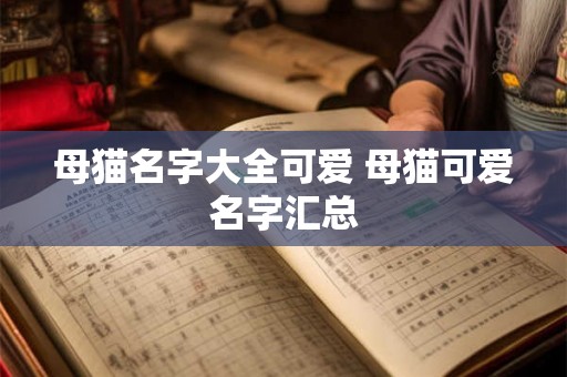 母猫名字大全可爱 母猫可爱名字汇总