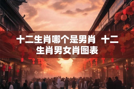 十二生肖哪个是男肖  十二生肖男女肖图表