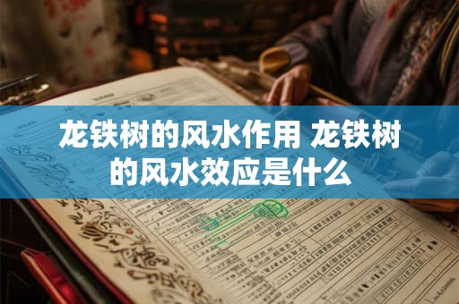 龙铁树的风水作用 龙铁树的风水效应是什么 龙铁树的风水作用 龙铁树的风水效应是什么