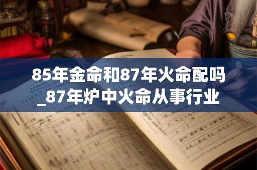 85年金命和87年火命配吗_87年炉中火命从事行业