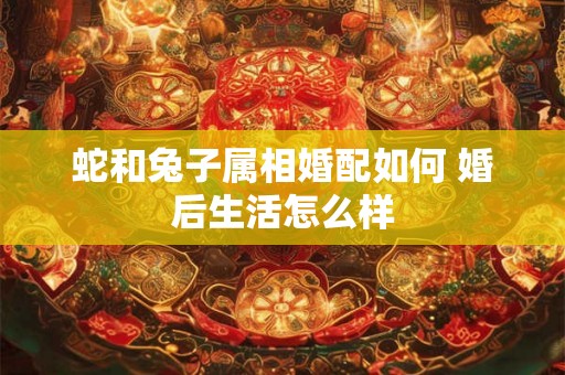 蛇和兔子属相婚配如何 婚后生活怎么样