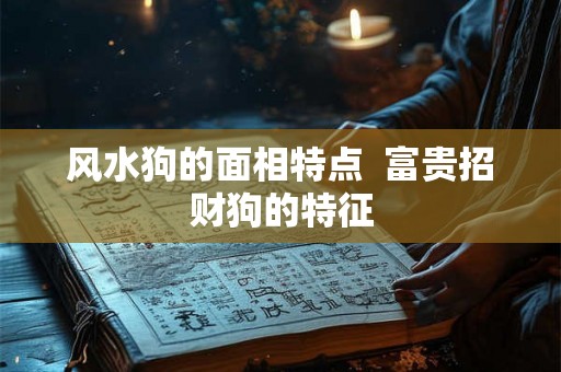 风水狗的面相特点  富贵招财狗的特征