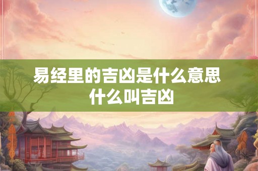 易经里的吉凶是什么意思  什么叫吉凶