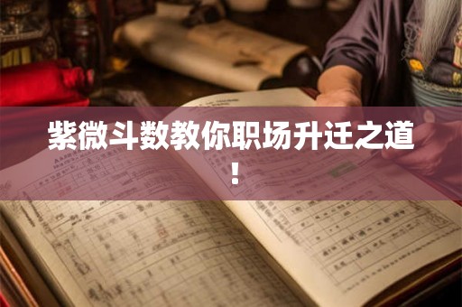 紫微斗数教你职场升迁之道！