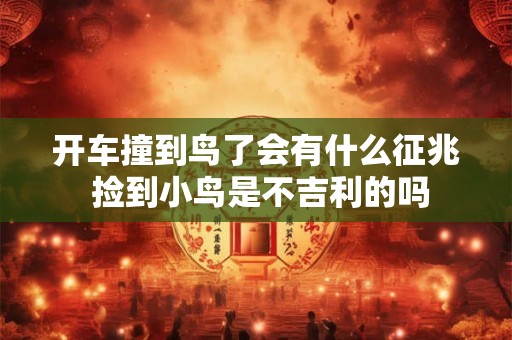 开车撞到鸟了会有什么征兆 捡到小鸟是不吉利的吗